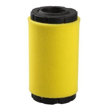 Filtru Aer Motor Briggs - Stratton 793569
